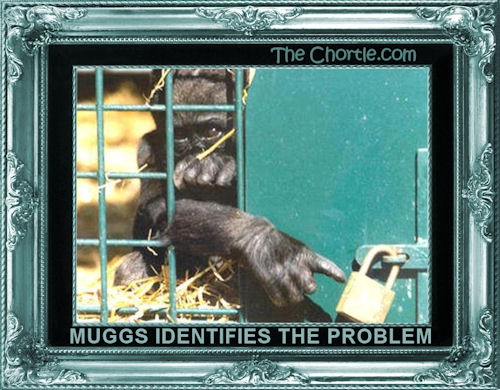 Muggs identifies the problem