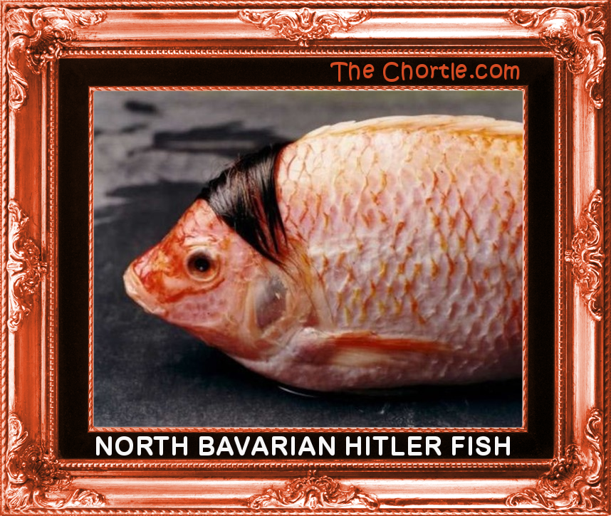 North Bavarian Hitler fish.