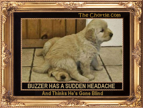 Buzzer has a sudden headache and thinks he's gone blind
