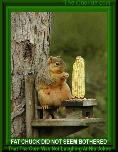 Fat Chuck did not seem bothered that the corn was not laughing at his jokes. 