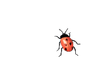 NeoSwarm.com