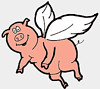 winged pig