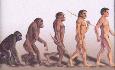 human_evolution_line.jpg